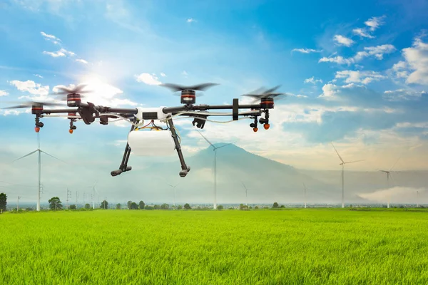 Landwirtschaftliche Drohne fliegt über das grüne Reisfeld — Stockfoto