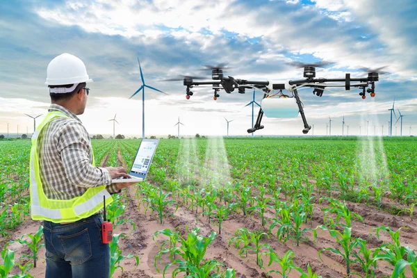 Techniker Landwirt nutzt Wifi-Computer-Steuerung Landwirtschaft Drohne fliegen, um versprühten Dünger auf den Maisfeldern — Stockfoto