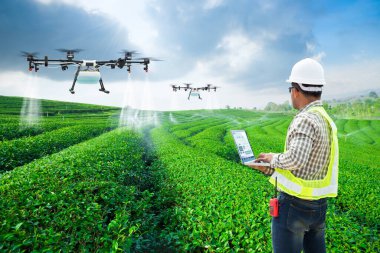 Teknisyen çiftçi kullanın wifi bilgisayar denetimi tarım drone fly püskürtülür gübre için yeşil çay alanların, akıllı çiftlik 4.0 konsept