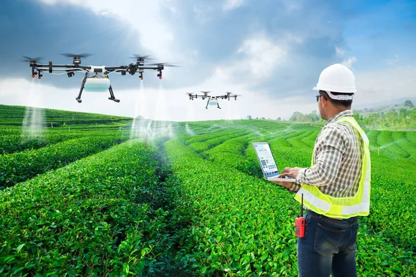 技術者農家が茶畑 スマート ファーム コンセプトに Wifi コンピューター制御農業無人散布肥料にフライを使用します — ストック写真