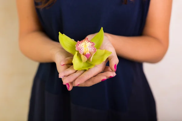 Mujer sosteniendo una flor — Foto de Stock