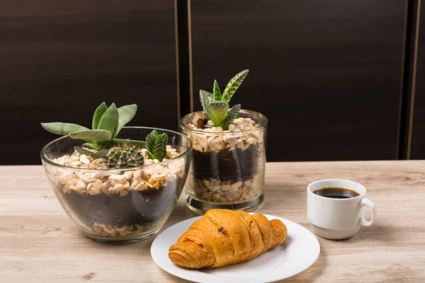 Näringsrik och hälsosam frukost — Stockfoto