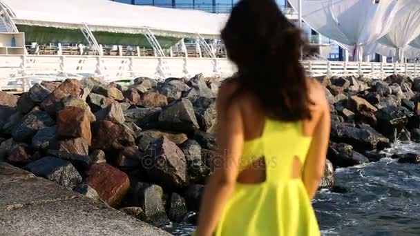 Beautiful young woman on the pier — Stock Video