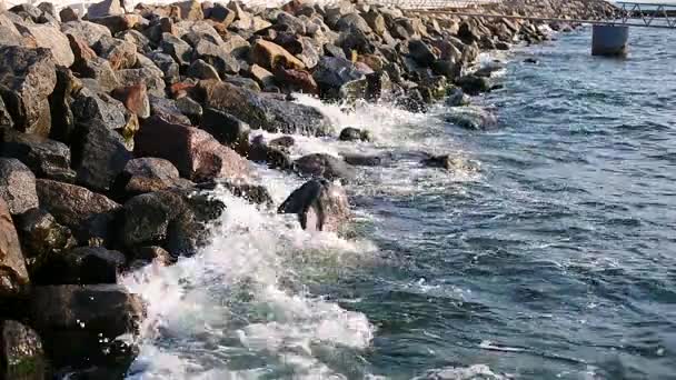 Хвилі в літньому морі — стокове відео