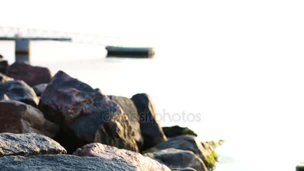Mulher tomando selfie em uma praia — Vídeo de Stock