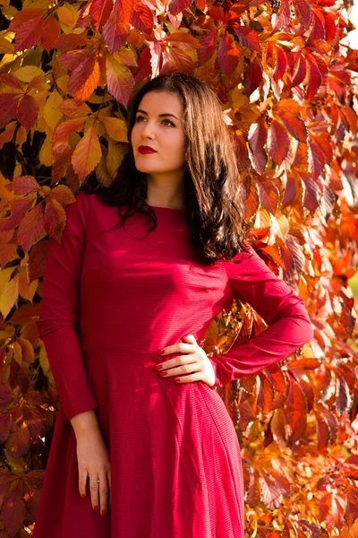 Beautiful woman in the autumn park — Stock Photo, Image