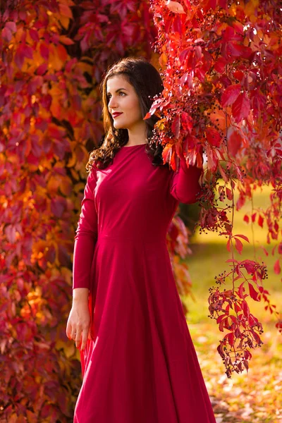 Hermosa mujer en el parque de otoño — Foto de Stock