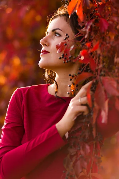 Όμορφη γυναίκα στο πάρκο φθινόπωρο — Φωτογραφία Αρχείου