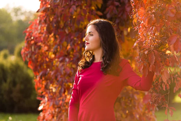 Mujer en el parque de otoño — Foto de Stock