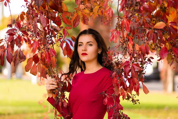 Mujer en el parque de otoño — Foto de Stock