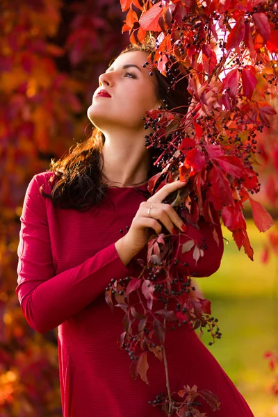 Mulher no parque de outono — Fotografia de Stock