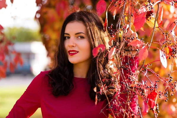 Woman in the autumn park — Stock Photo, Image