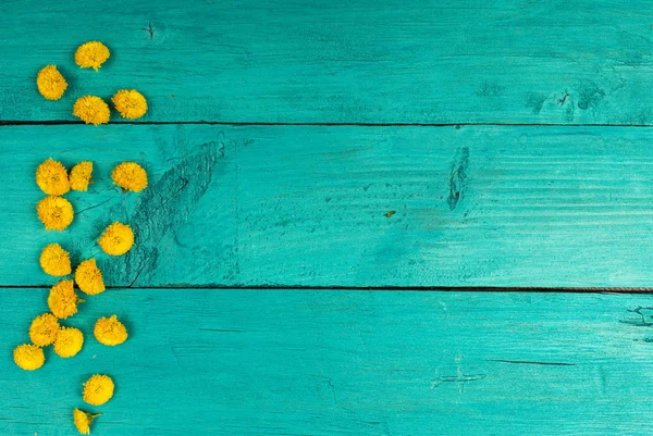 Gelbe Blumen auf blauem Hintergrund — Stockfoto