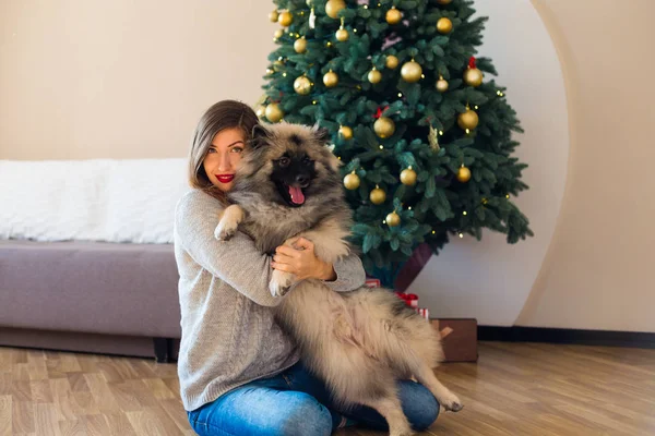 여자와 개가 앉아 근처에 크리스마스 트리 — 스톡 사진