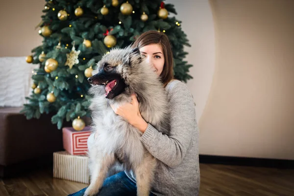 여자와 개가 앉아 근처에 크리스마스 트리 — 스톡 사진