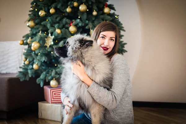 Vrouw en een hond zit in de buurt van de kerstboom — Stockfoto