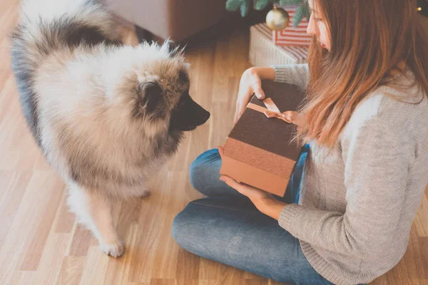 Mulher e um cão sentado perto da árvore de Natal — Fotografia de Stock