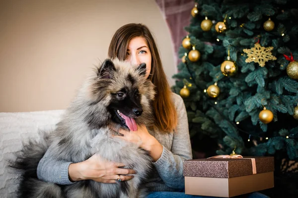 Mulher e um cão sentado perto da árvore de Natal — Fotografia de Stock