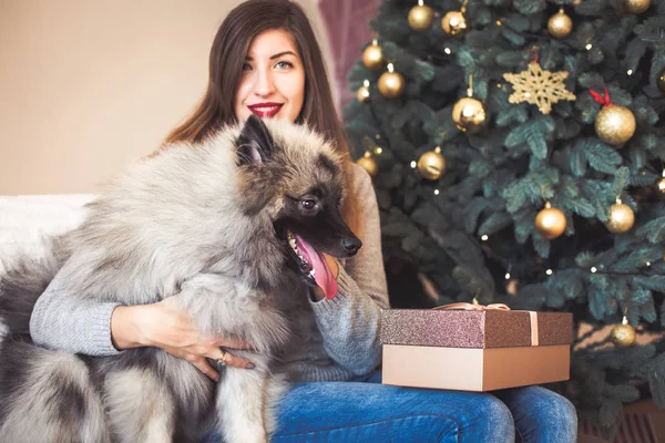 Mulher e um cão sentado perto da árvore de Natal — Fotografia de Stock