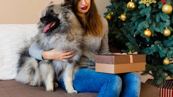 Nő és egy kutya ülő közelében a karácsonyfa — Stock Fotó
