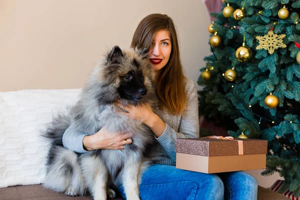 Mulher e um cão sentado perto da árvore de Natal — Fotografia de Stock