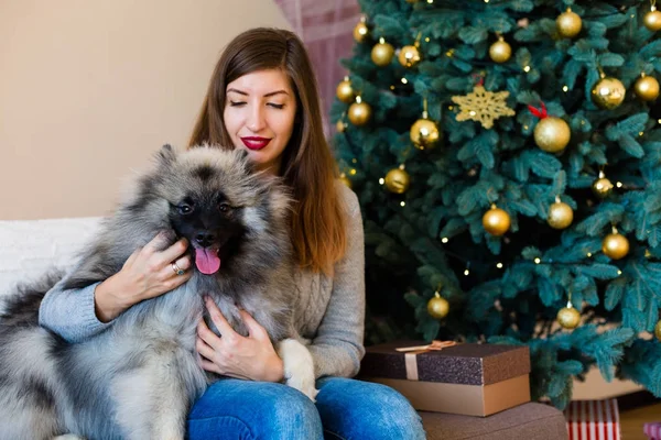 女性と犬に座っている近くのクリスマス ツリー — ストック写真