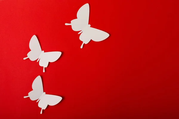 Mariposas Blancas Sobre Fondo Rojo Copiar Espacio — Foto de Stock