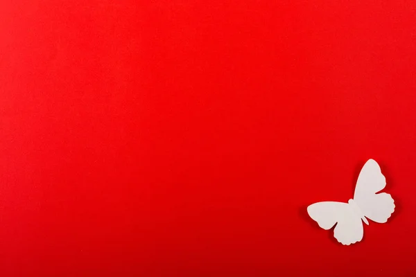 Mariposas Blancas Sobre Fondo Rojo Copiar Espacio — Foto de Stock