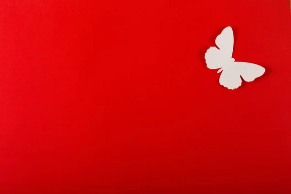 Mariposas Blancas Sobre Fondo Rojo Copiar Espacio — Foto de Stock