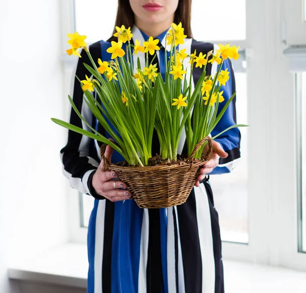 Красива жінка з квітковим кошиком, повним нарциса — стокове фото