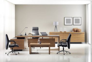VIP ofis mobilyaları