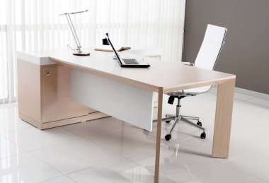 VIP ofis mobilyaları