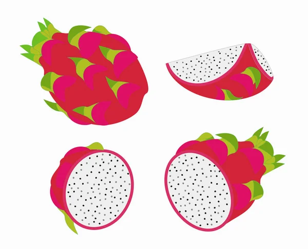 Dragon meyve vektör