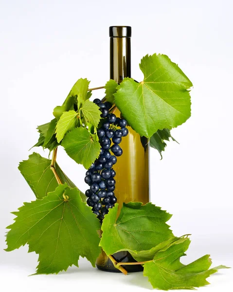 Weinflasche in Traubenblättern — Stockfoto