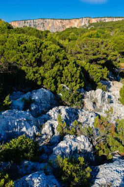 Plaj olmadan kefalonia kayalar Adası