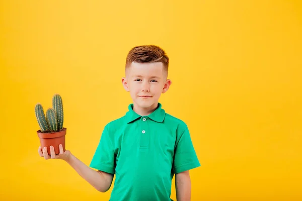 Menino Sorridente Tem Cacto Mão Isolado Fundo Amarelo Espaço Cópia — Fotografia de Stock