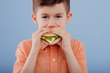 Mahsul, sandviç yiyen küçük çocuk. Kameraya bak.,