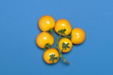 Mavi arkaplanda sarı domates demeti