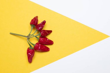 Kırmızı biber sosu, yaratıcı yemek. Sarı arkaplan