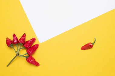 Tasarım için kırmızı ve acı biber, yaratıcı yemek. beyaz ve sarı