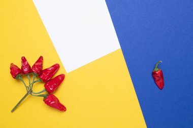 Kırmızı biber sosu, yaratıcı yemek. Sarı arkaplan