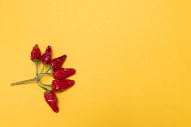 Tasarım için kırmızı ve acı biber, yaratıcı yemek. Sarı