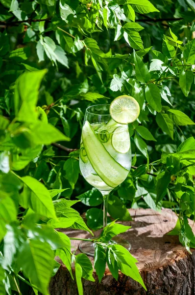 Cucumber Water Lemonade Glass Lime Wooden Stump Forest Refreshing Summer — Stock Photo, Image