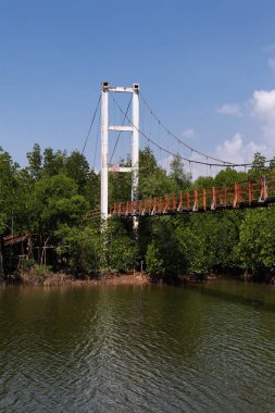 Mulk Kha Bay mangrov orman. Ahşap geçit. Chumphon, Tayland