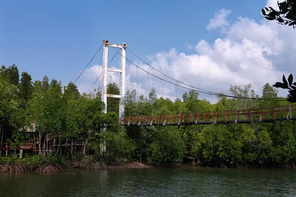 Thung Kha Bay Mangrove Forest. Drewniany chodnik. Chumphon, Tajlandia — Zdjęcie stockowe