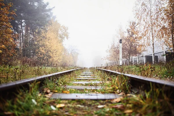 Railway in the fog going to perspective, golden leaves of the forest — Stock Photo, Image