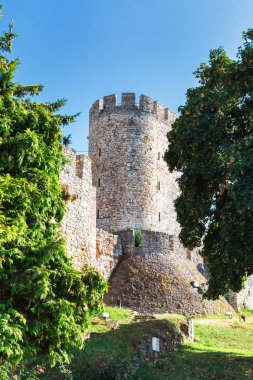 Belgrad Kalemegdan kale veya Beogradska Tvrdjava