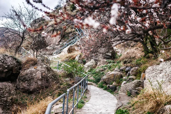 Promenad väg invardzia cave city-klostret i Erusheti Mountain, Georgia — Stockfoto