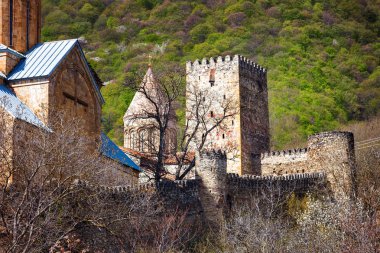 Kale ve kilise Ananuri, rezervuar Zhinvali kıyıda duran güzel panoramik görünüm. Gürcistan