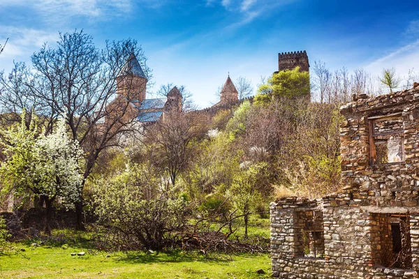 Перегляд зруйнований кинутих каплиця фортецею і церквою Ananuri, стояла на березі водосховища Zhinvali. Грузія — стокове фото
